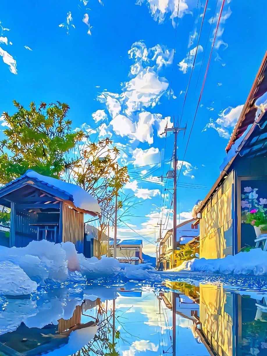 慈悲と僕