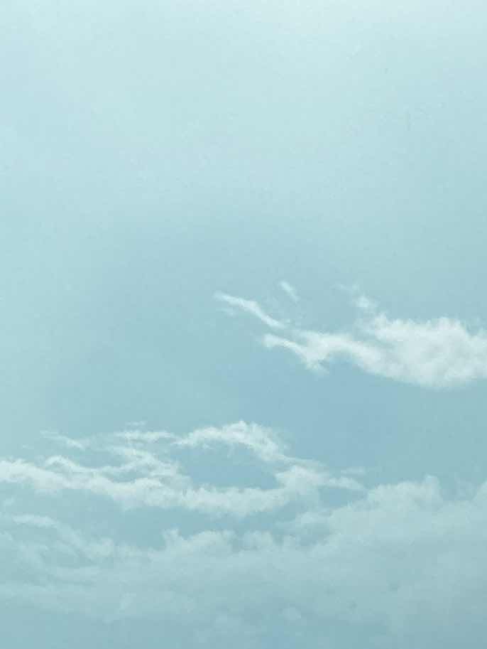 依存していく