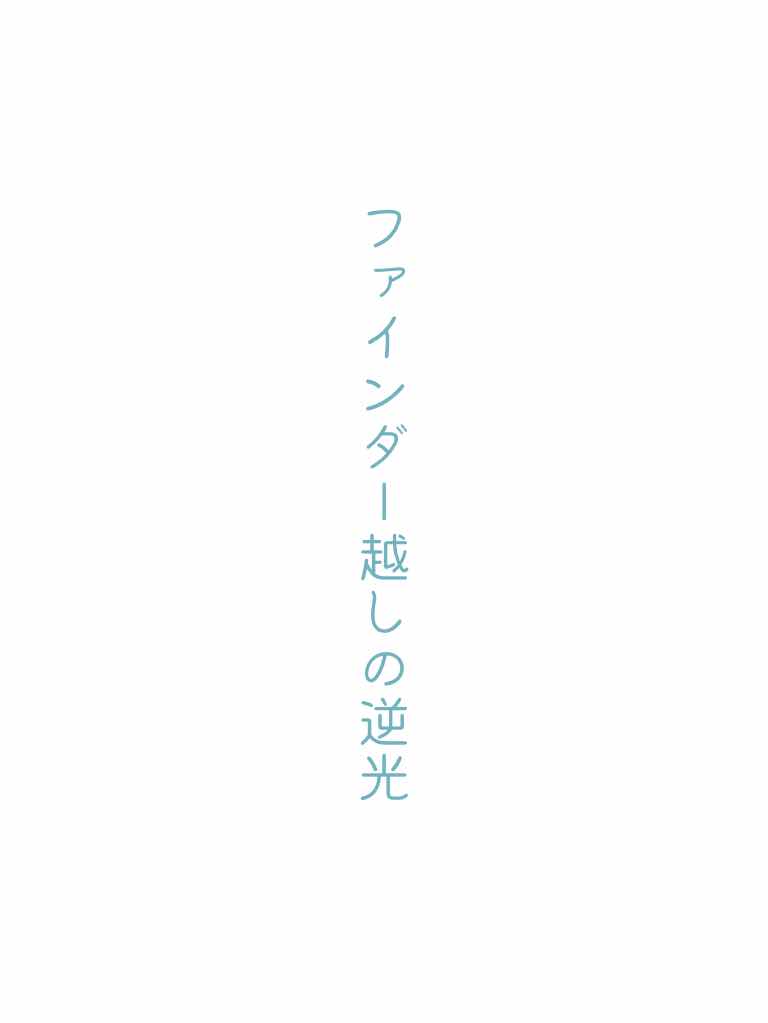 ファインダー越しの逆光
