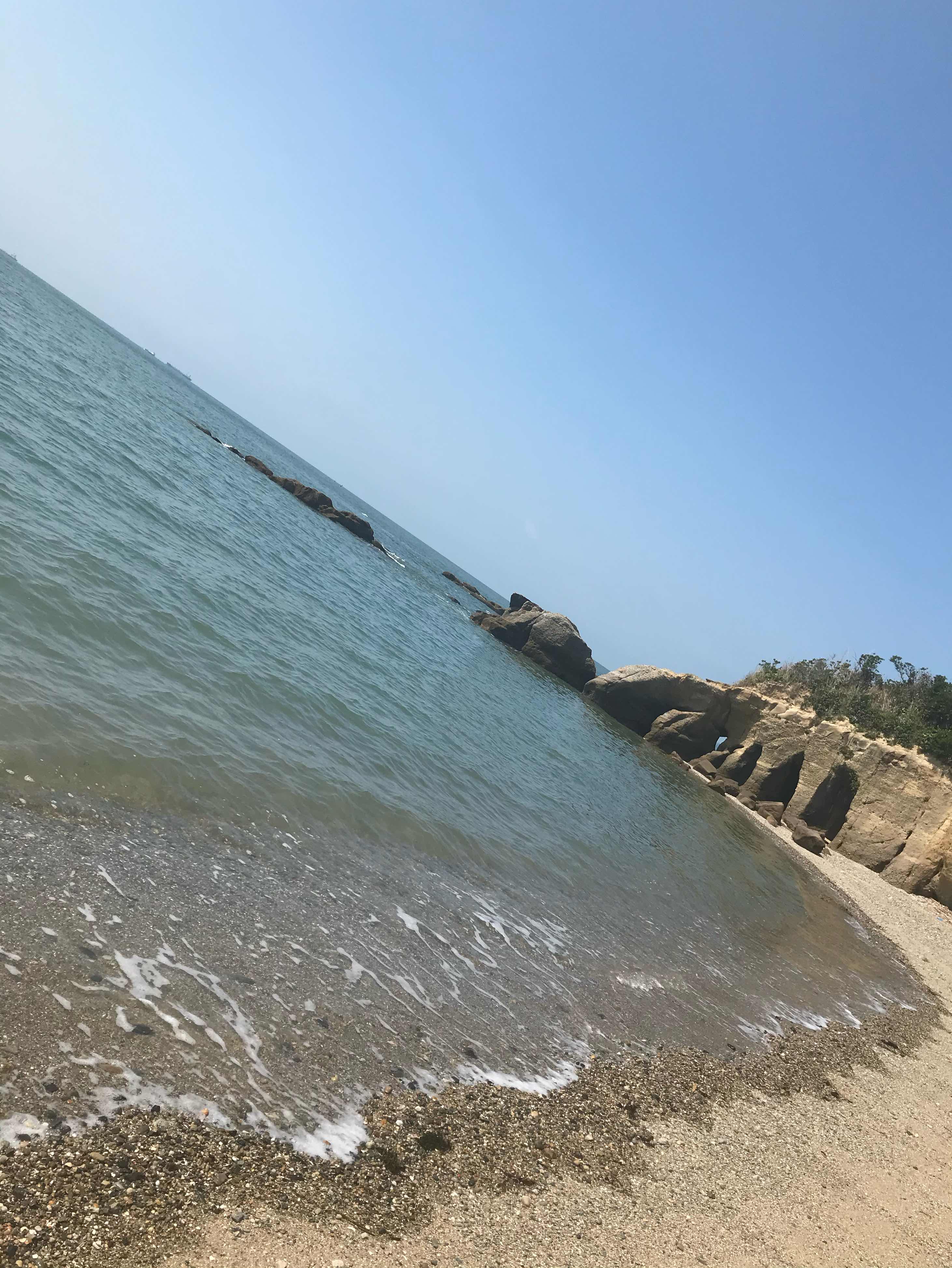 クジラ