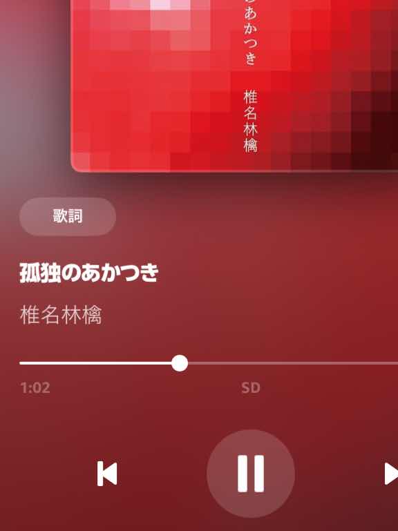 お花見
