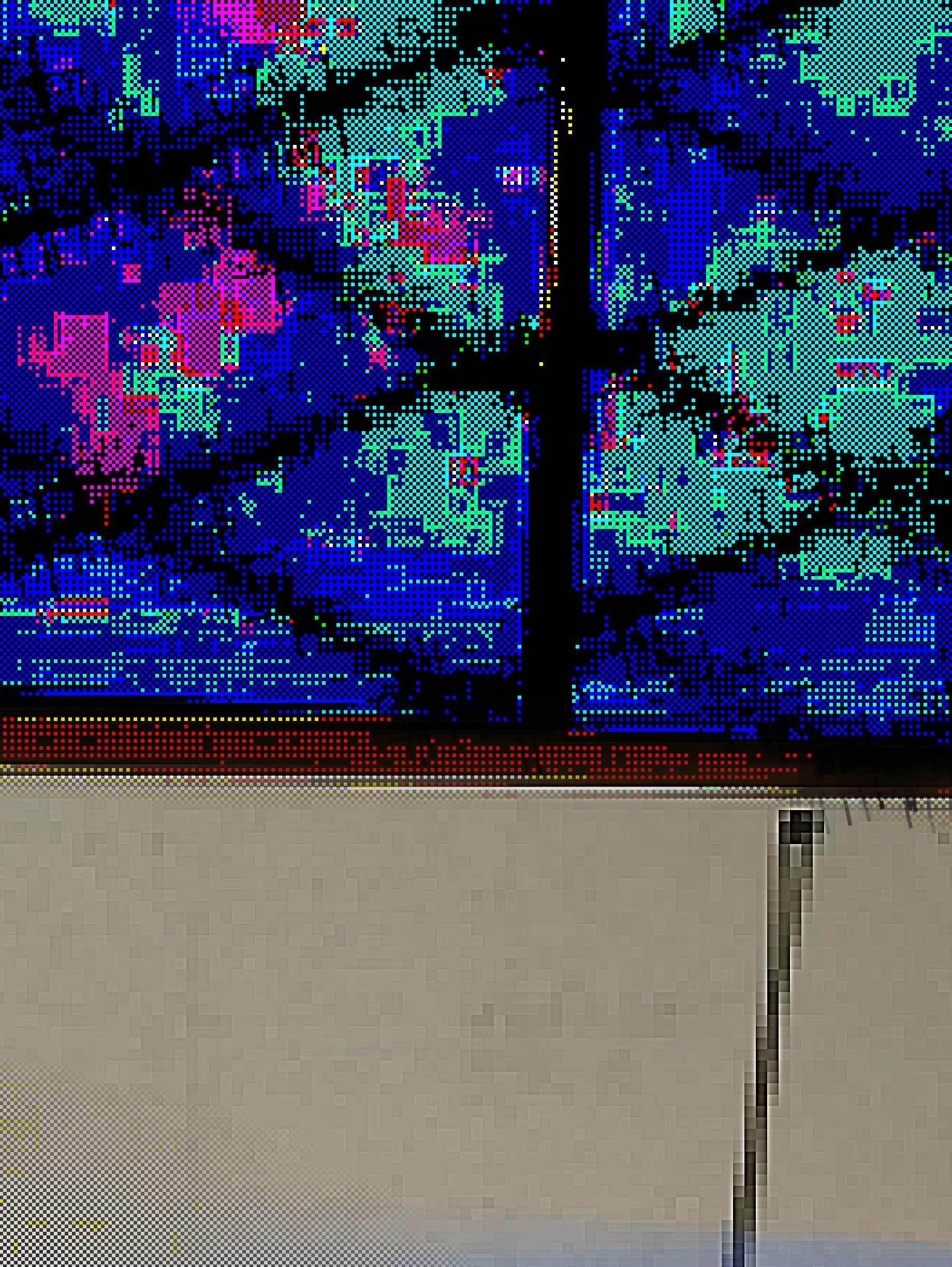 明晰夢