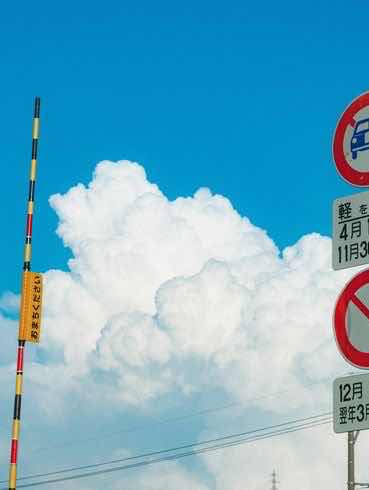 風物死