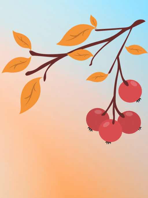 紅葉と高揚と