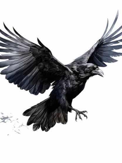 烏と恋　コートに居続ける者