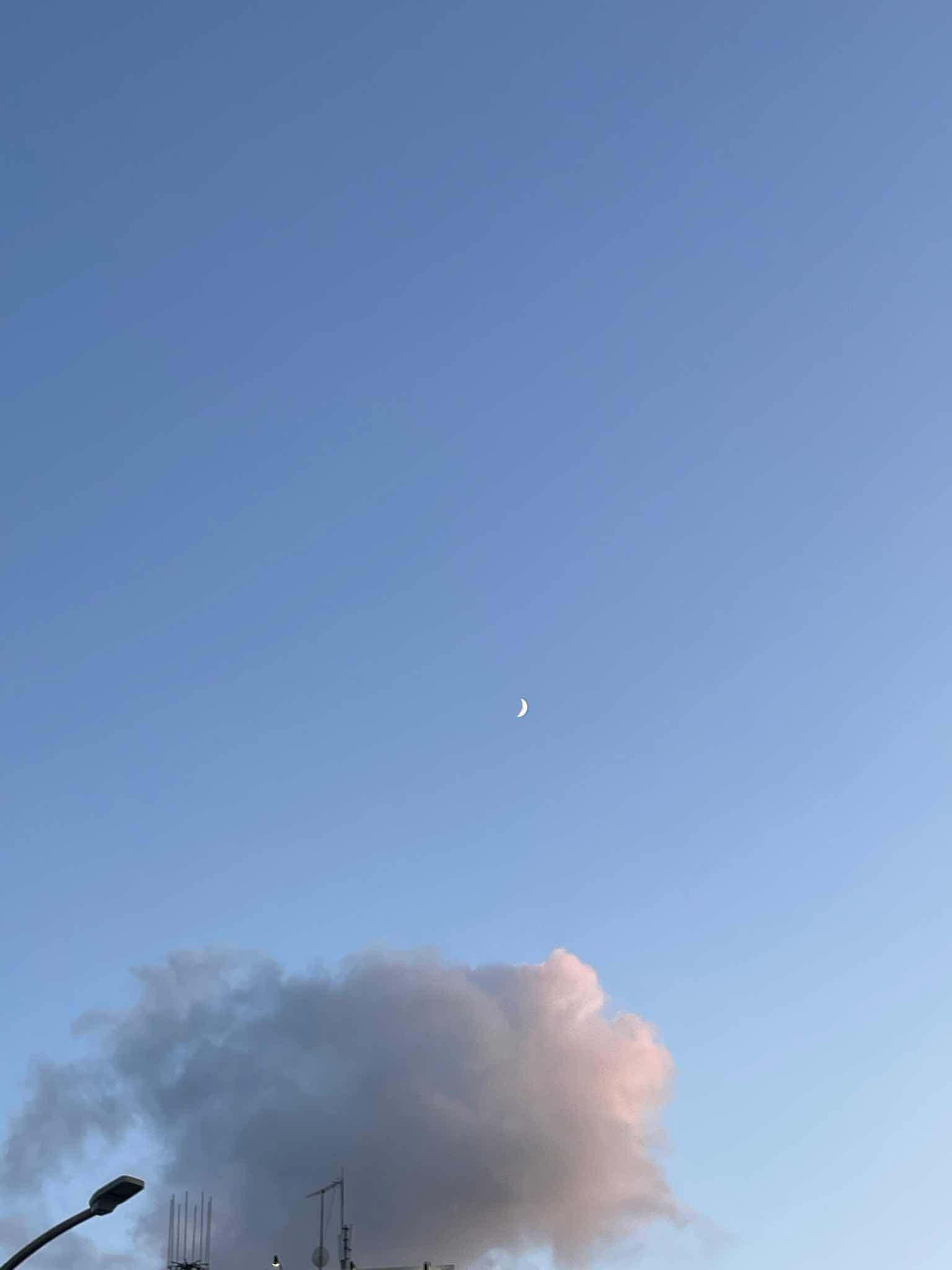 クモリ
