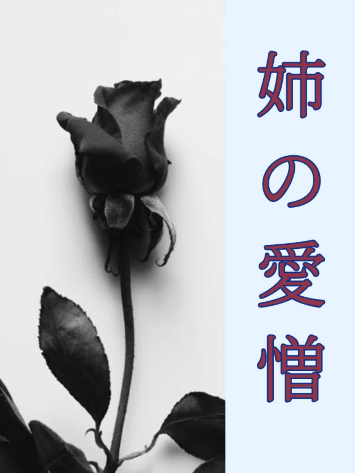 姉の愛憎