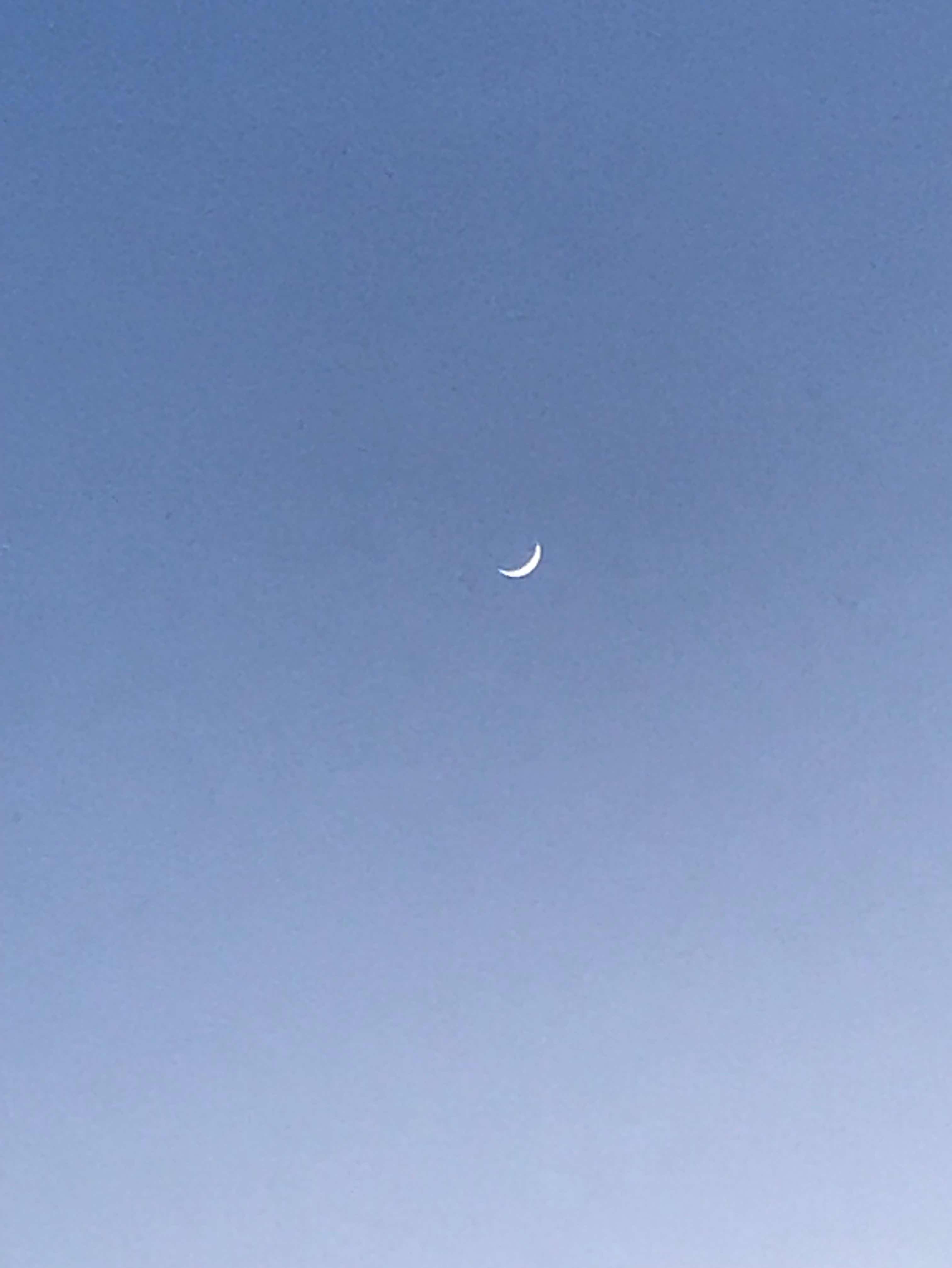 杜