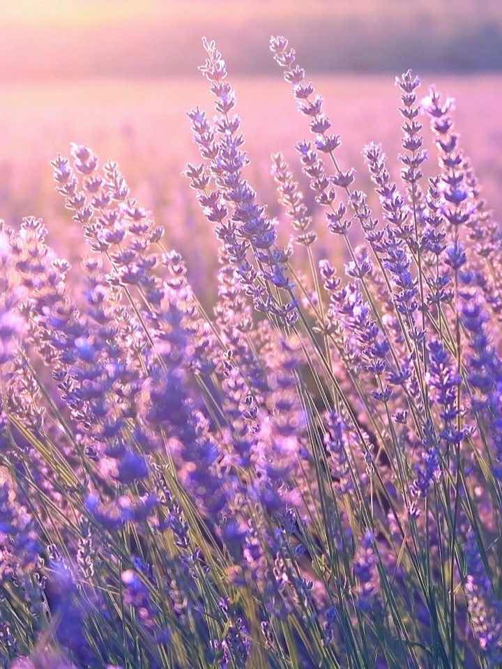 香水