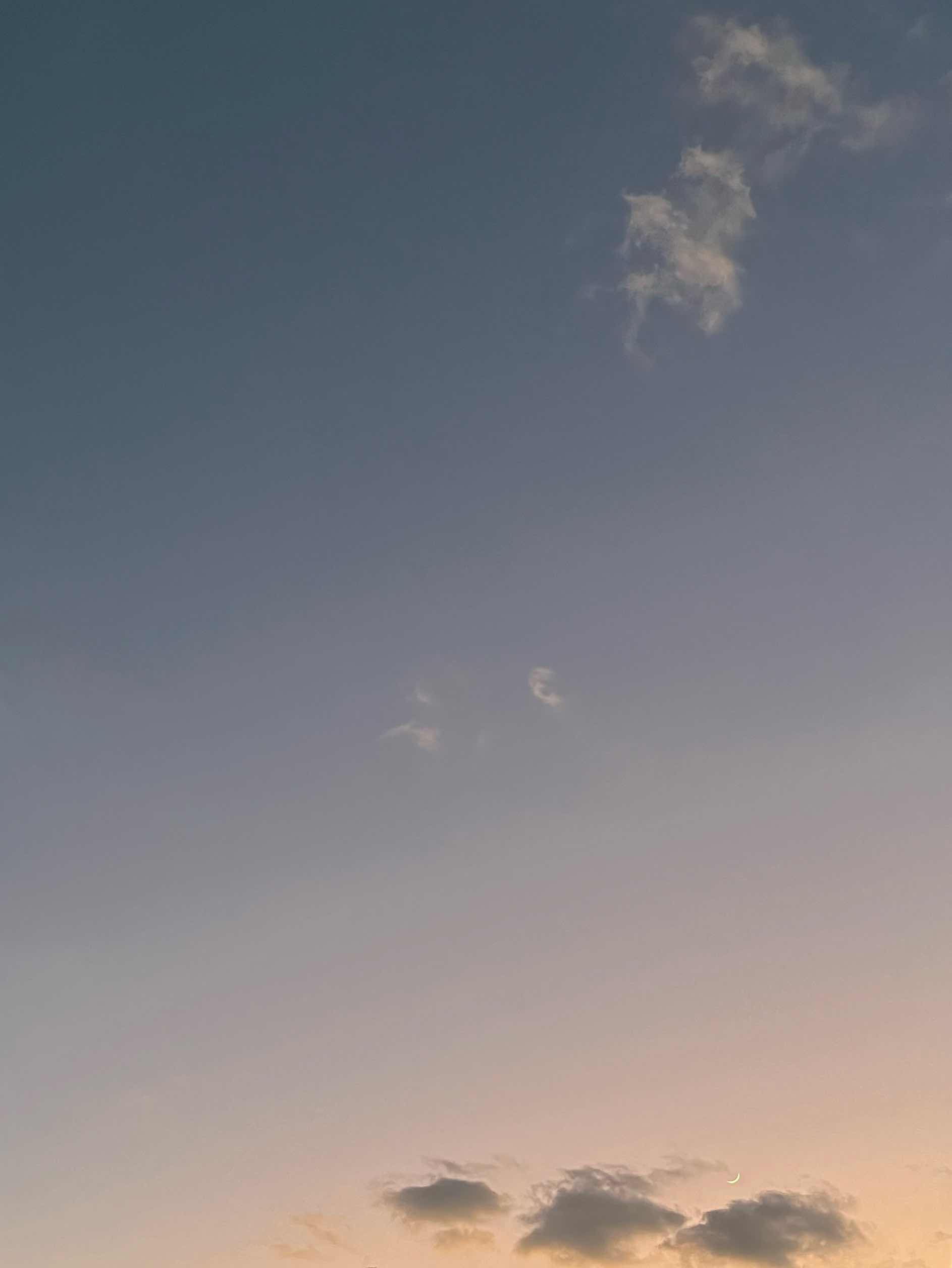 明日は楽園