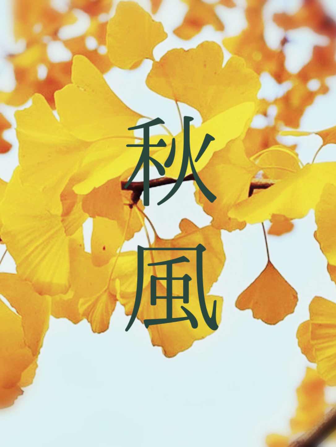秋風