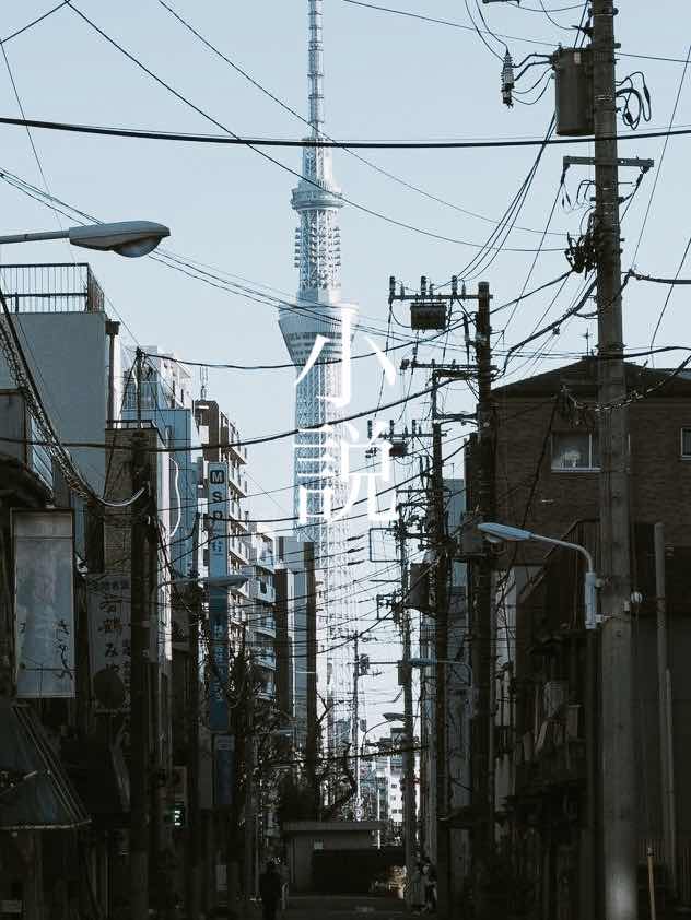 小説