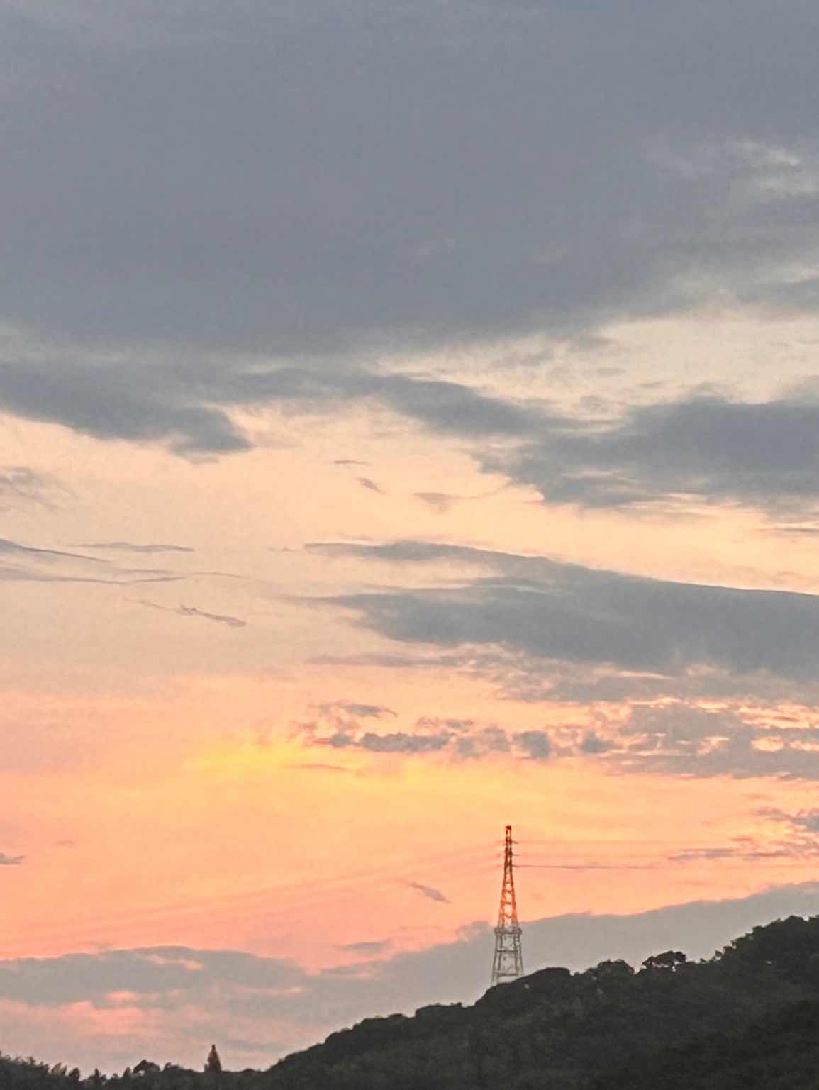 夢日記。1日目