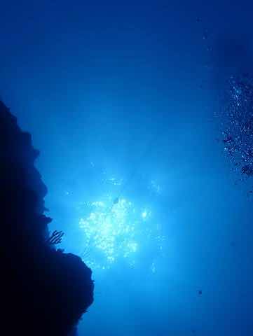 海の底で