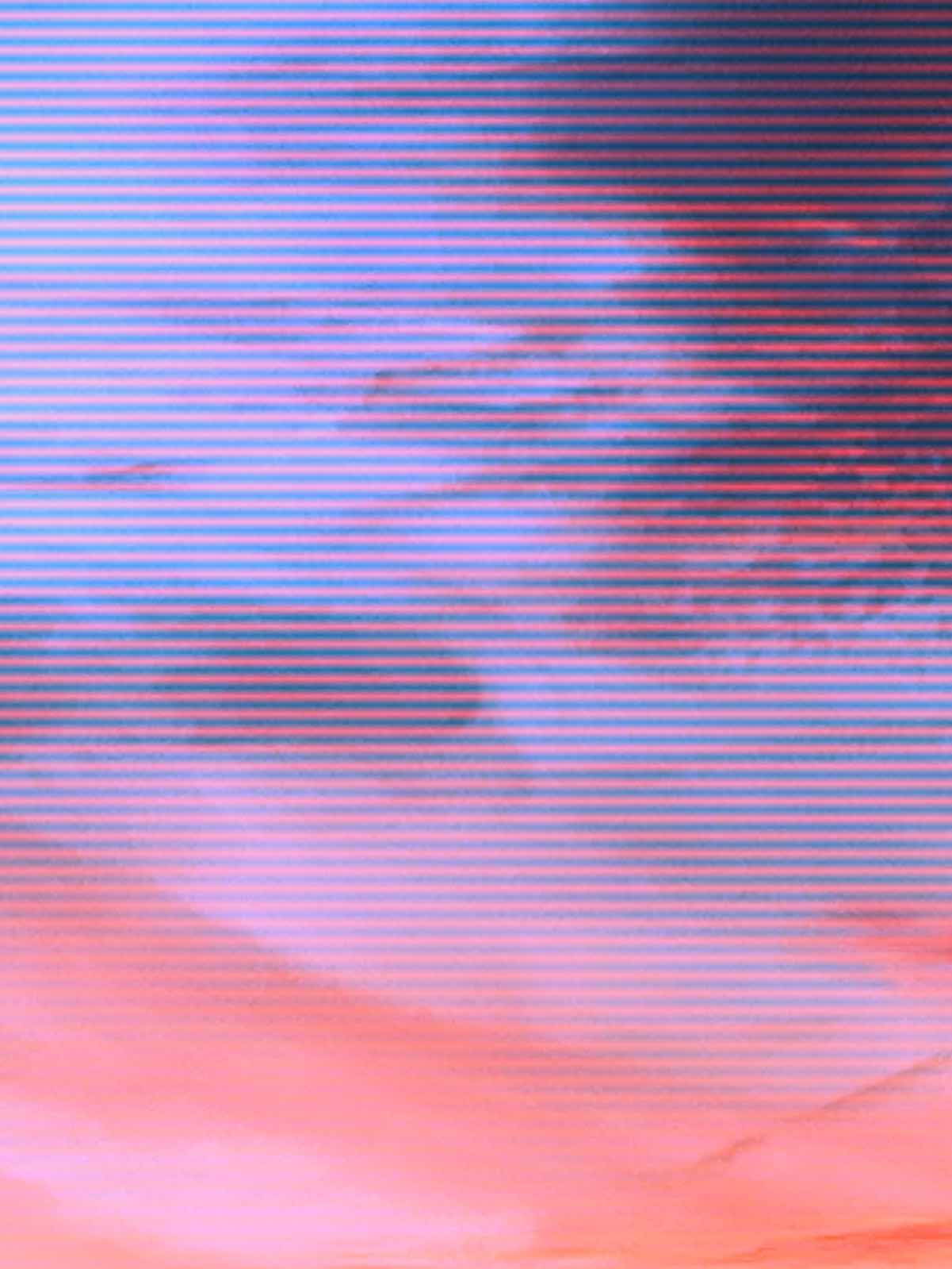 理解者