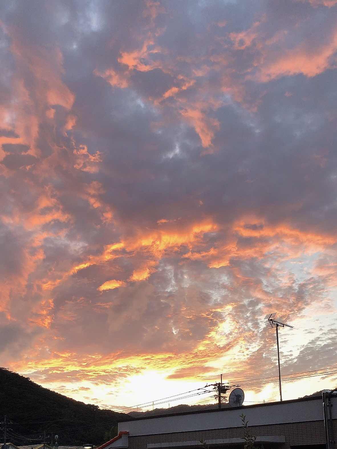 231108