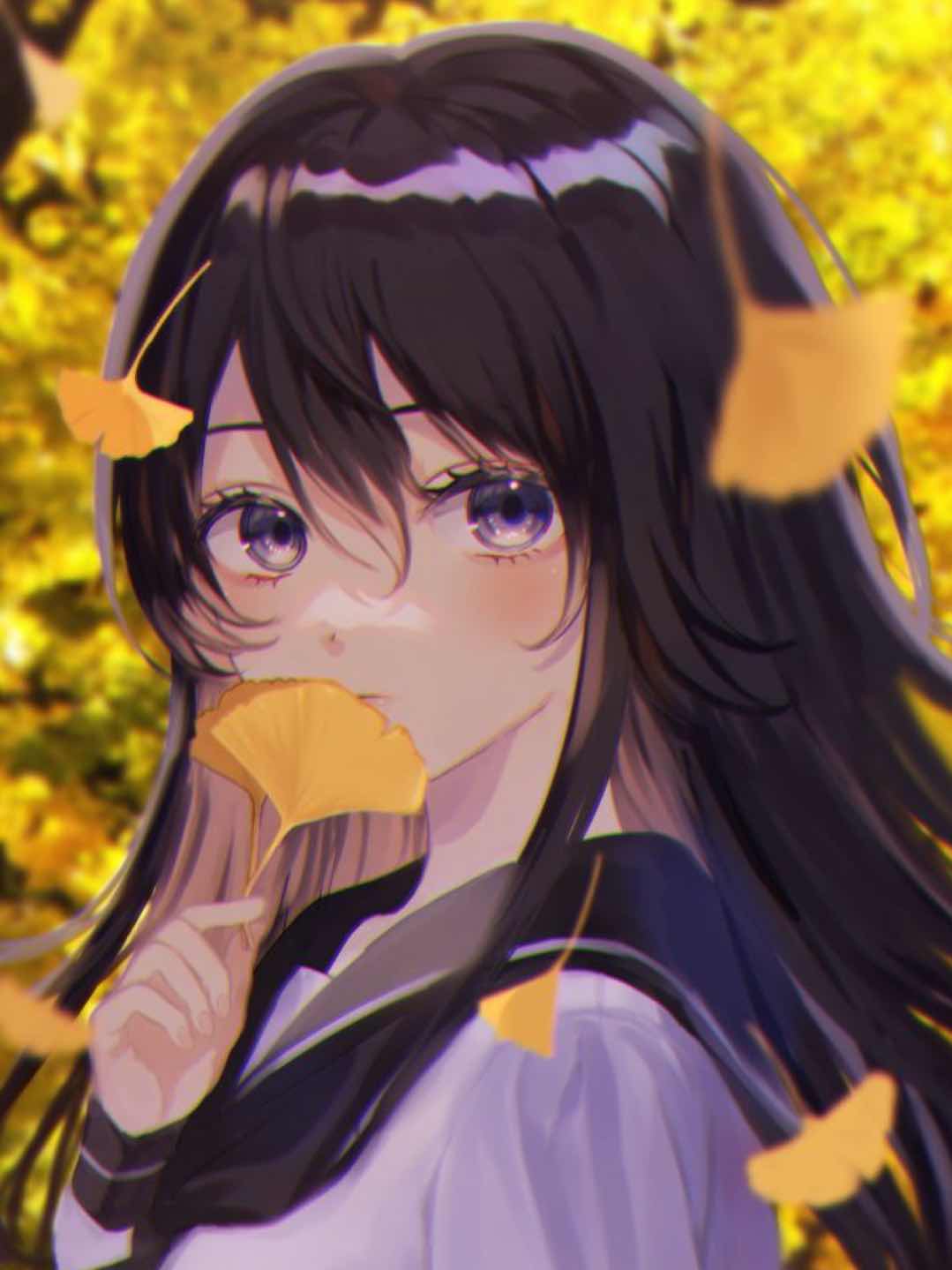 イチョウの木
