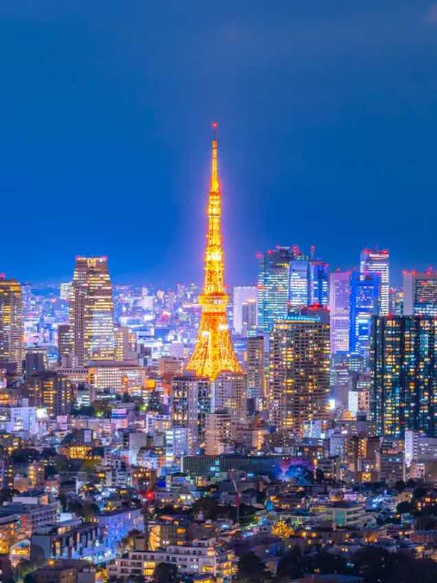 銀の羽では飛べない