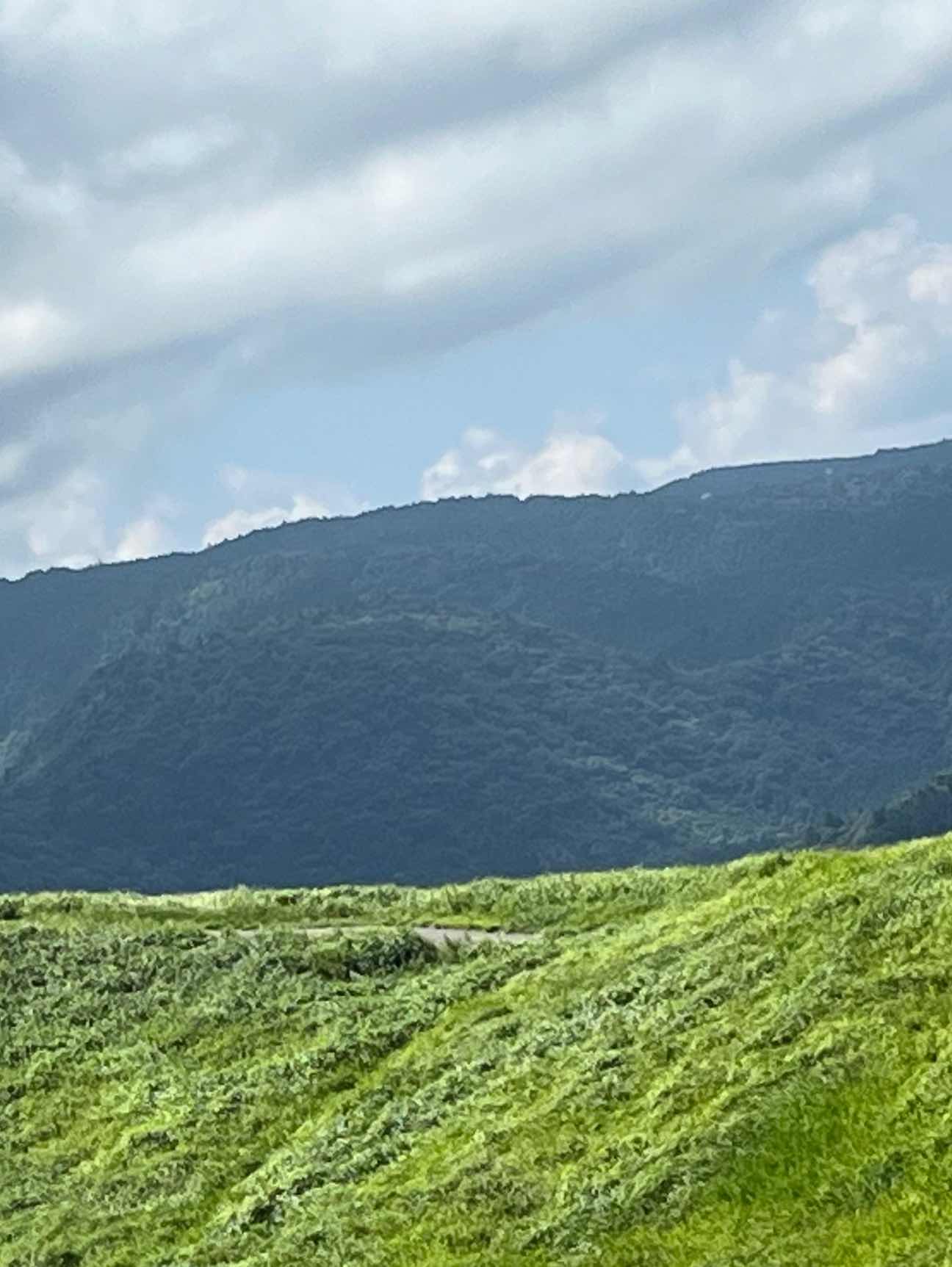 何も要らない
