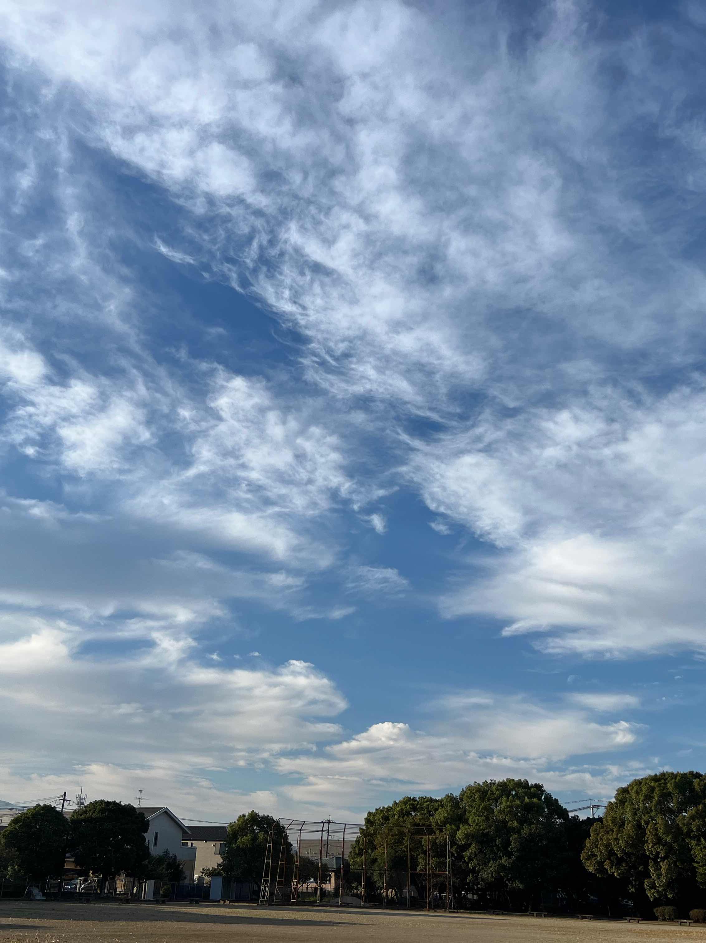 絆