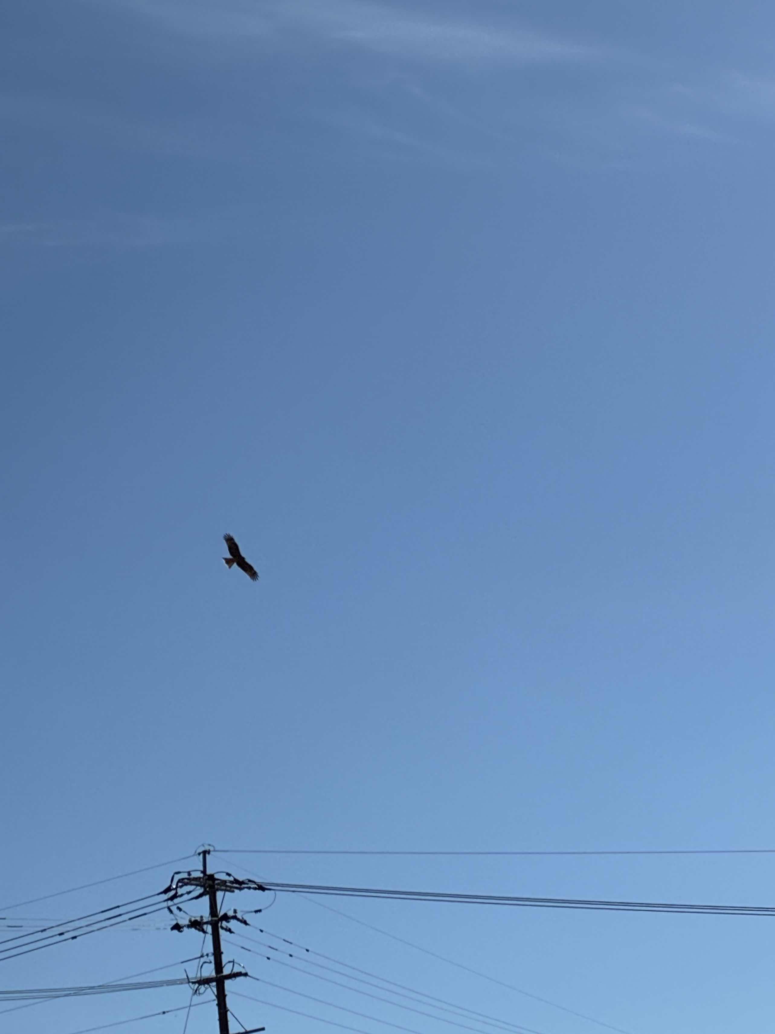 君はもう居ない