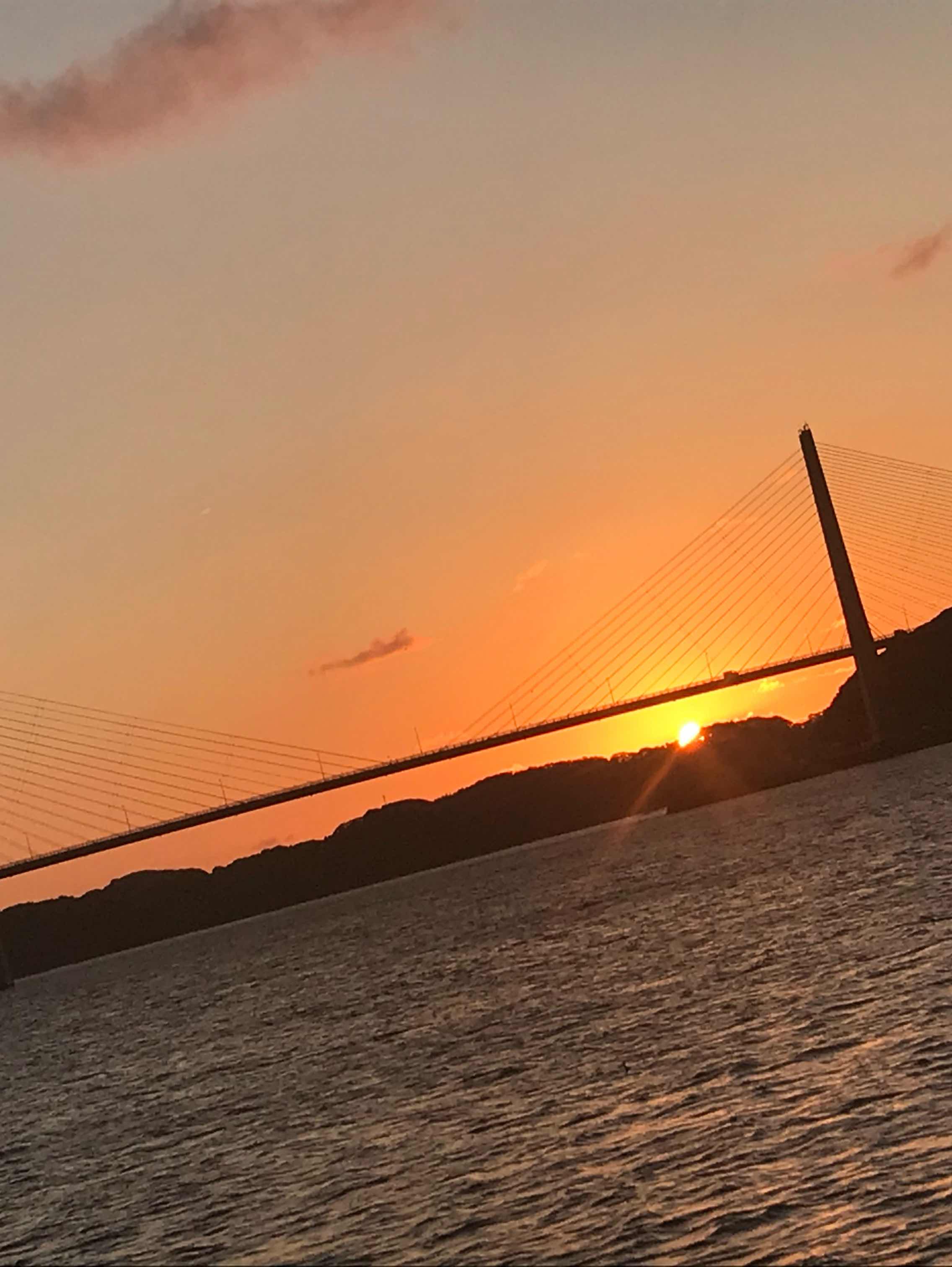 海なんか