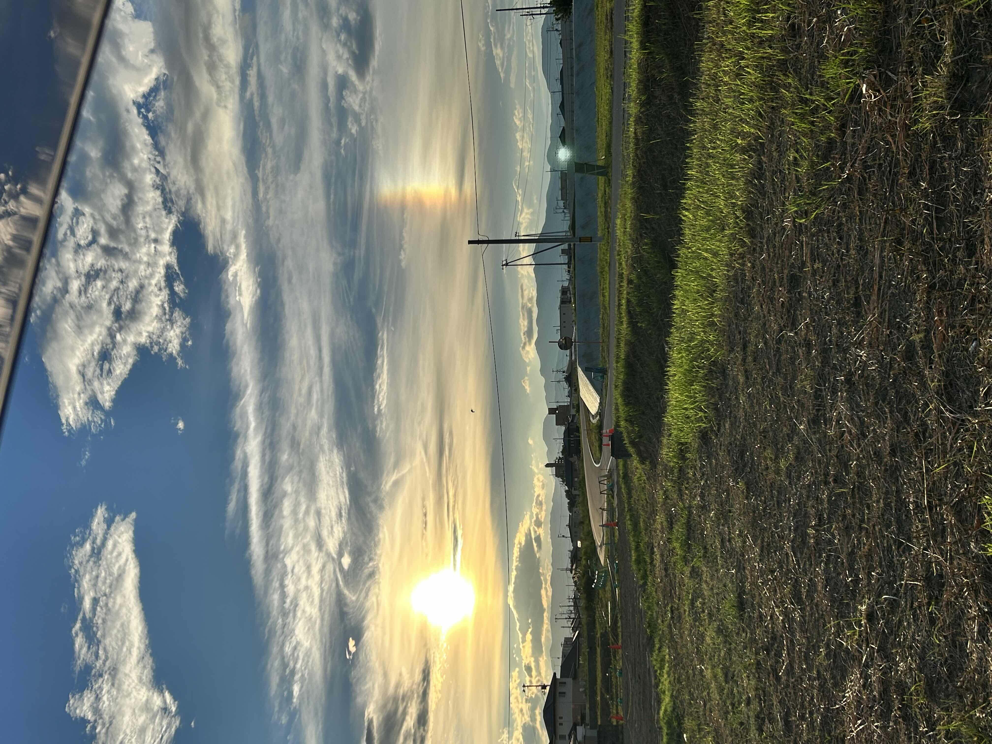 ひろ