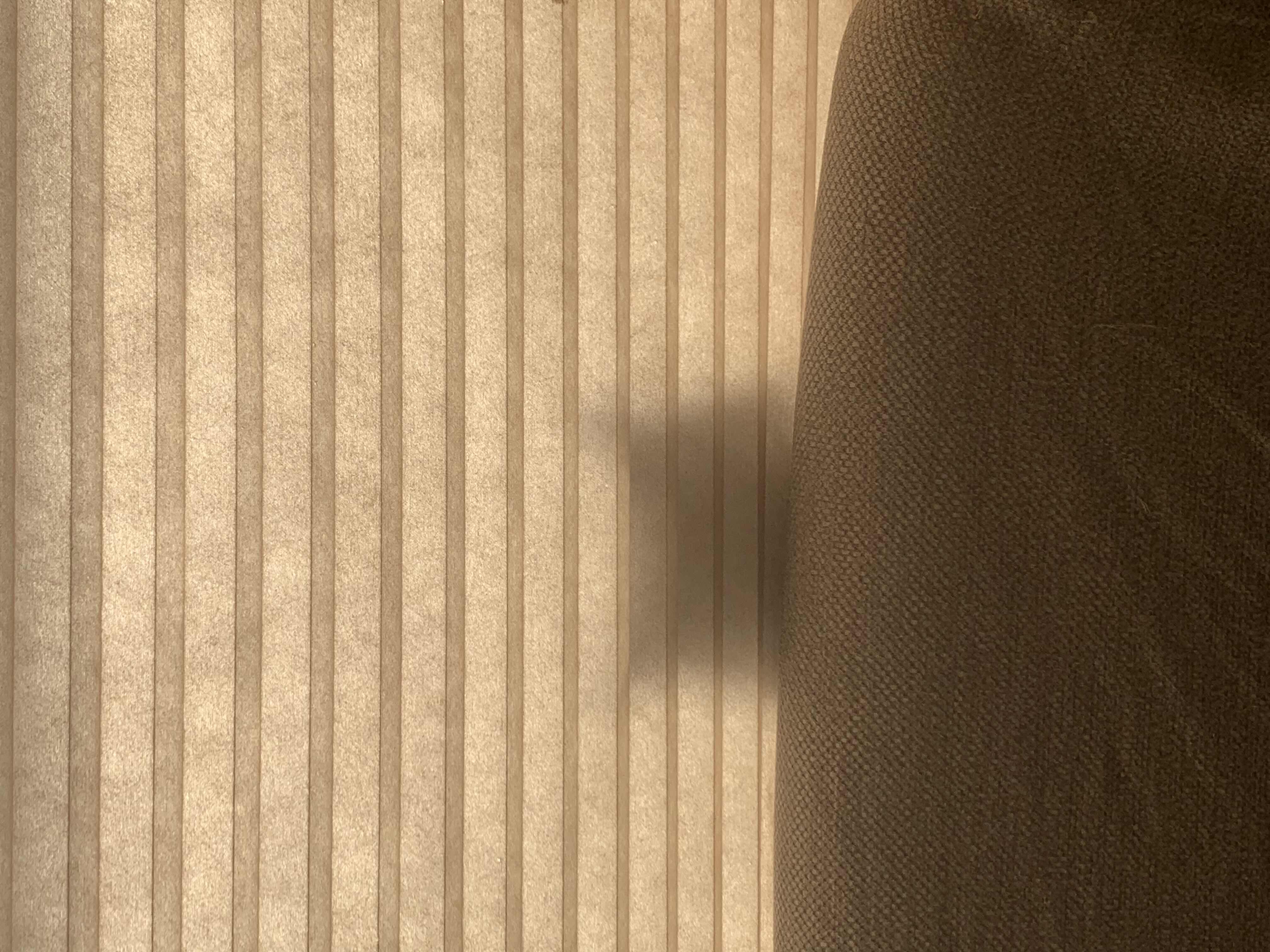 にゃすけ