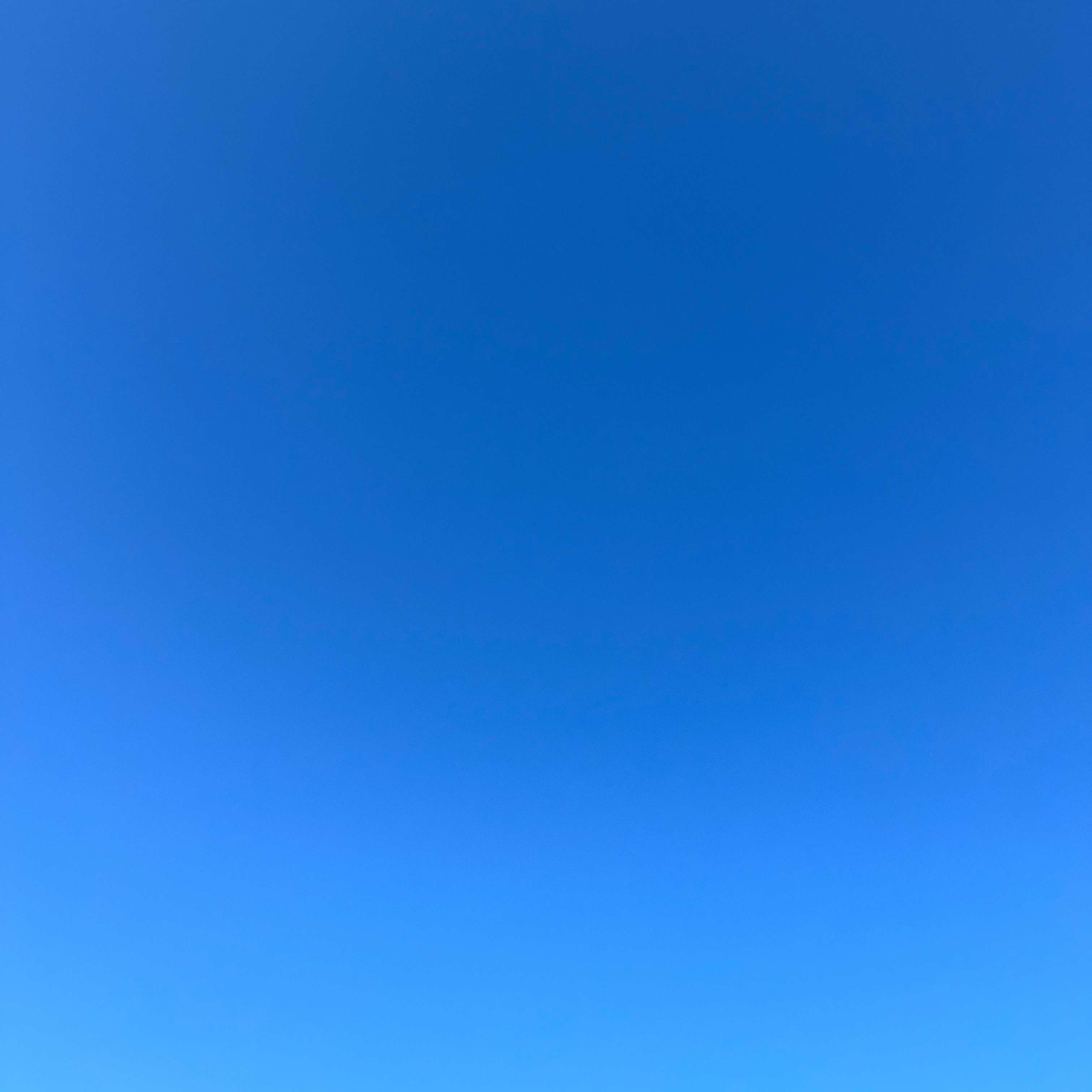 旧人類