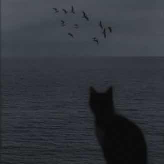 夜の住人