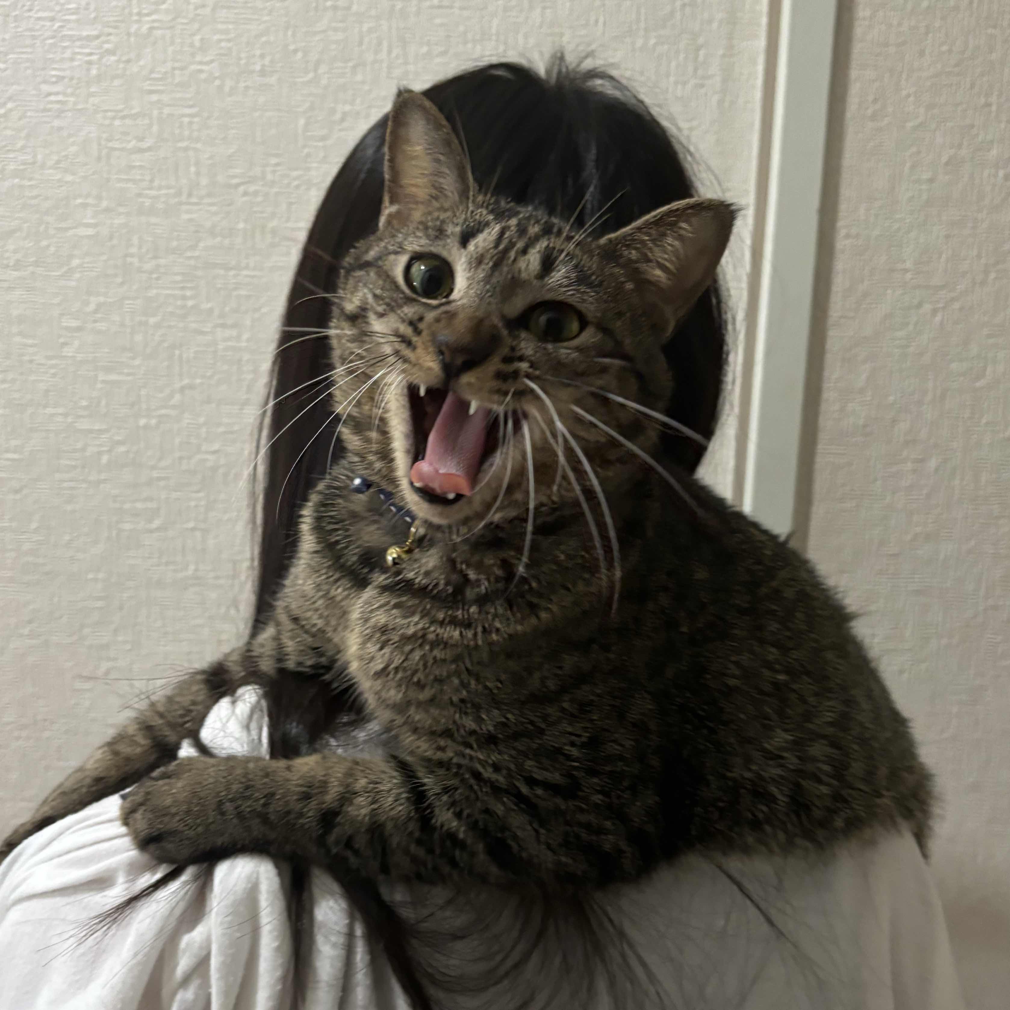 優里