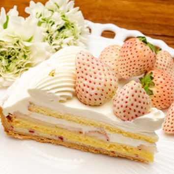 𝓼𝓾𝔃𝓾𝓴𝓪𝔃𝓮