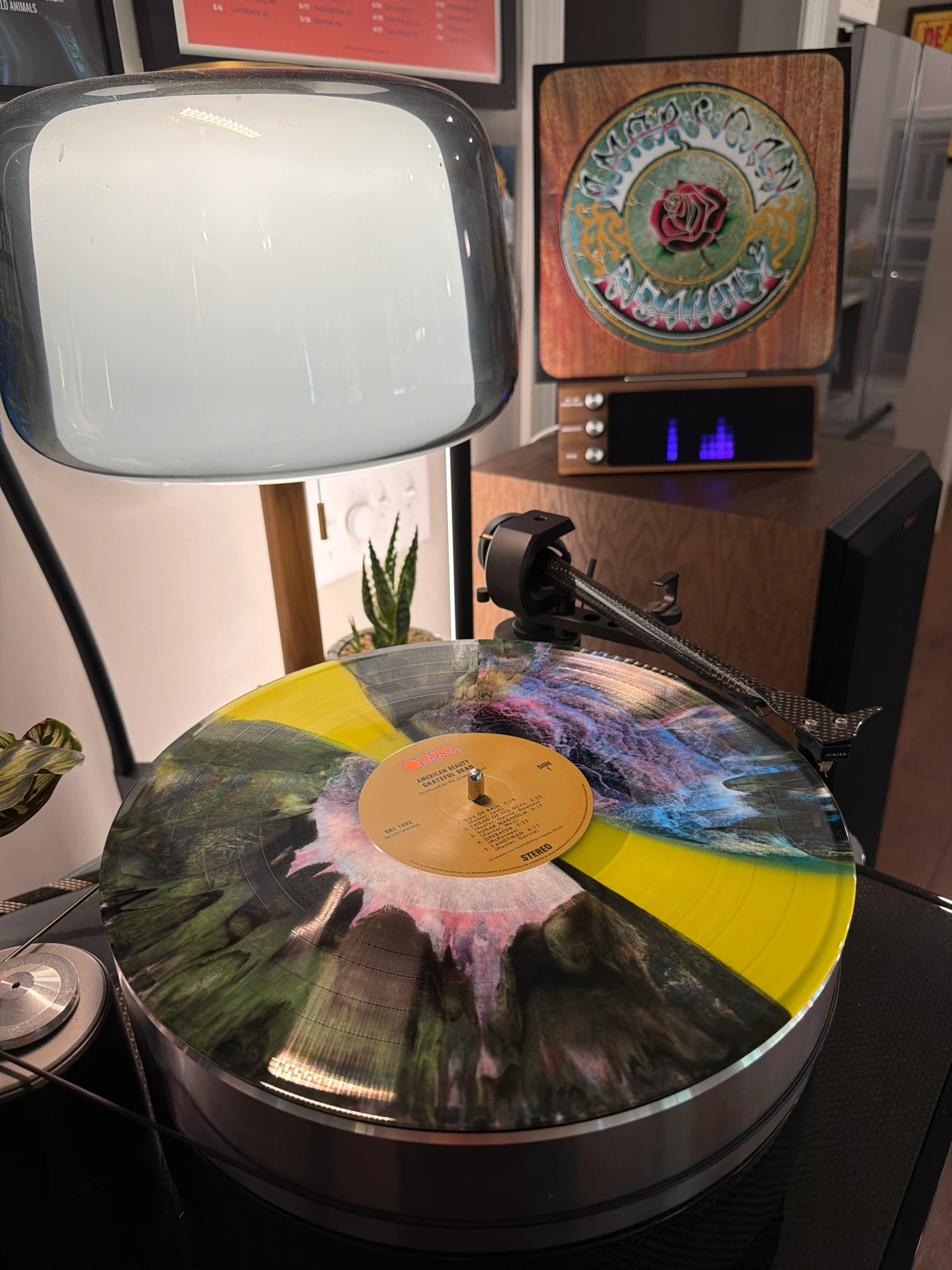 Spin photo 1 of 1