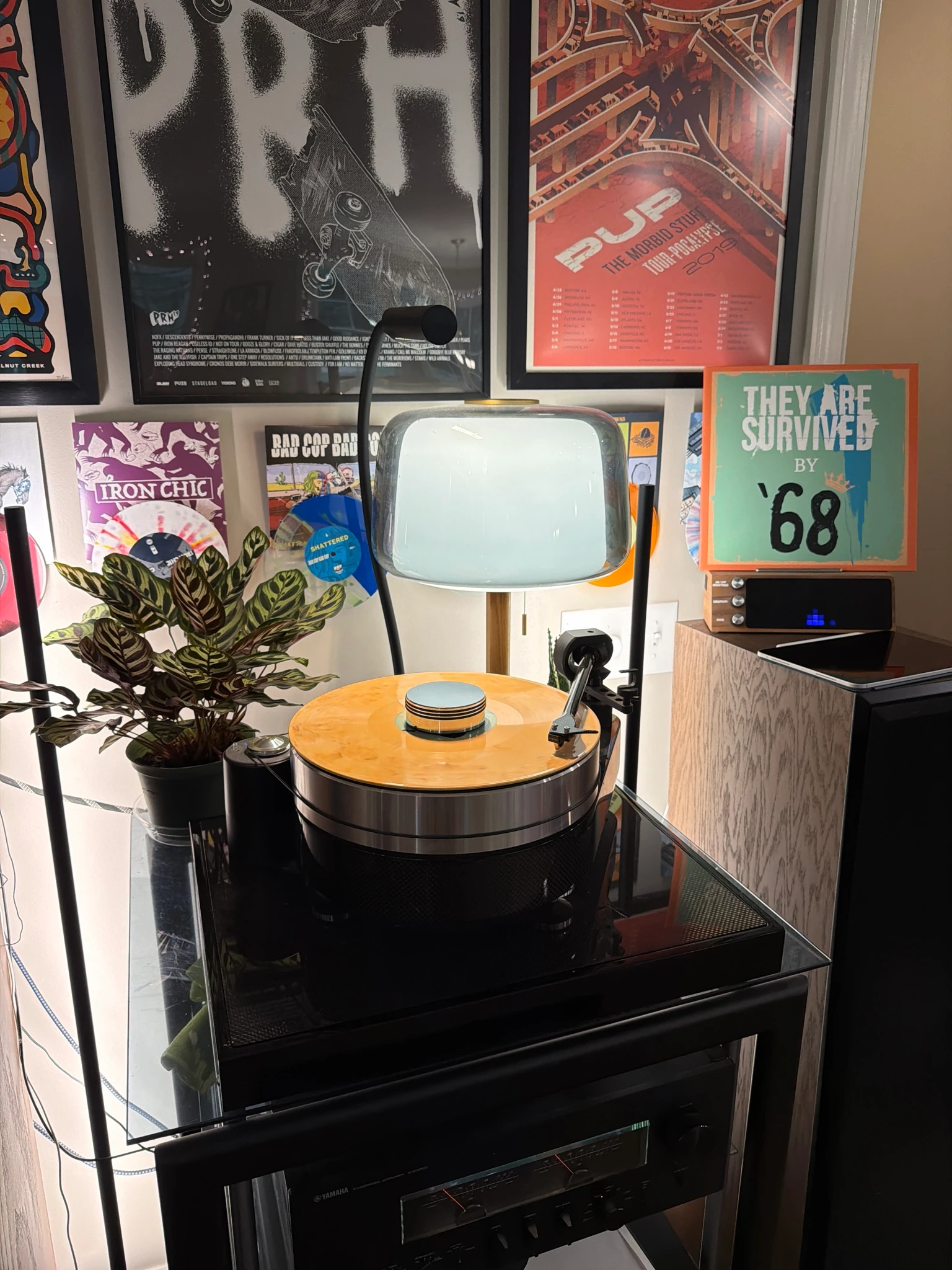 Spin photo 1 of 1