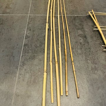 Paliki bambusowe