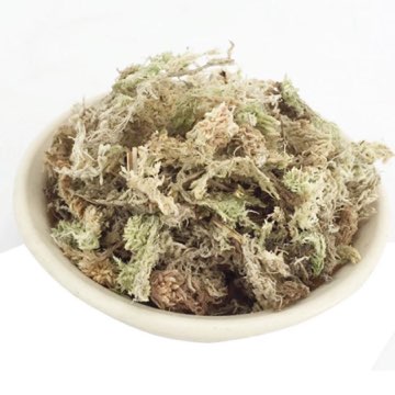 Sphagnum