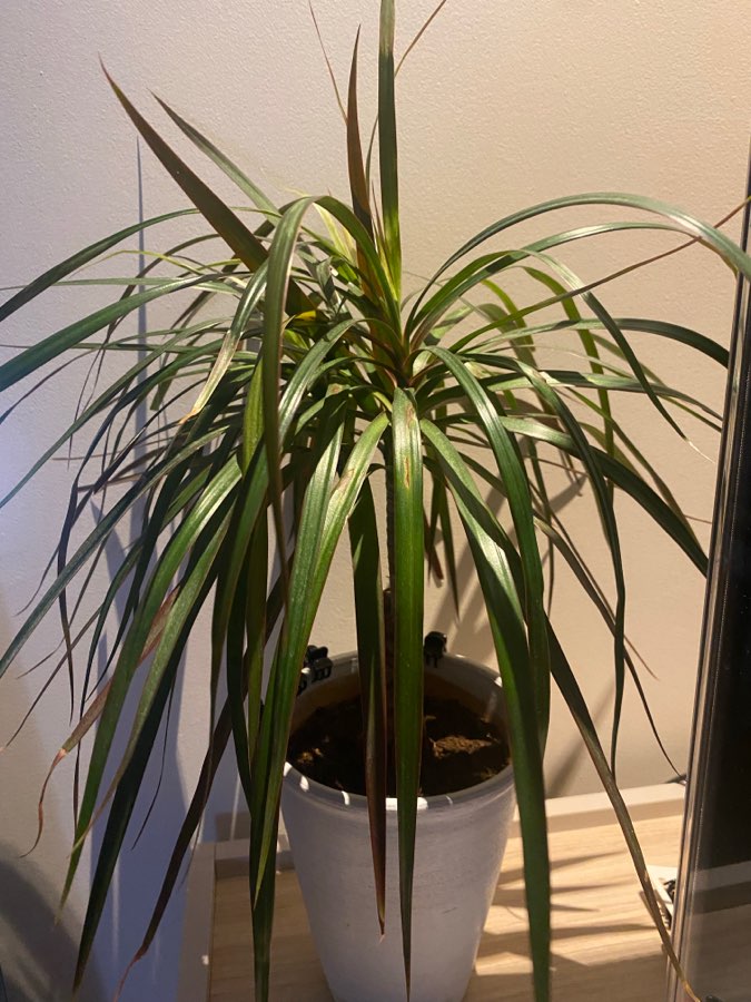 undefined 2