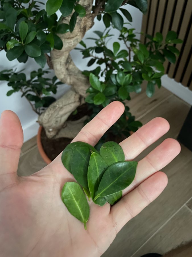 undefined 2