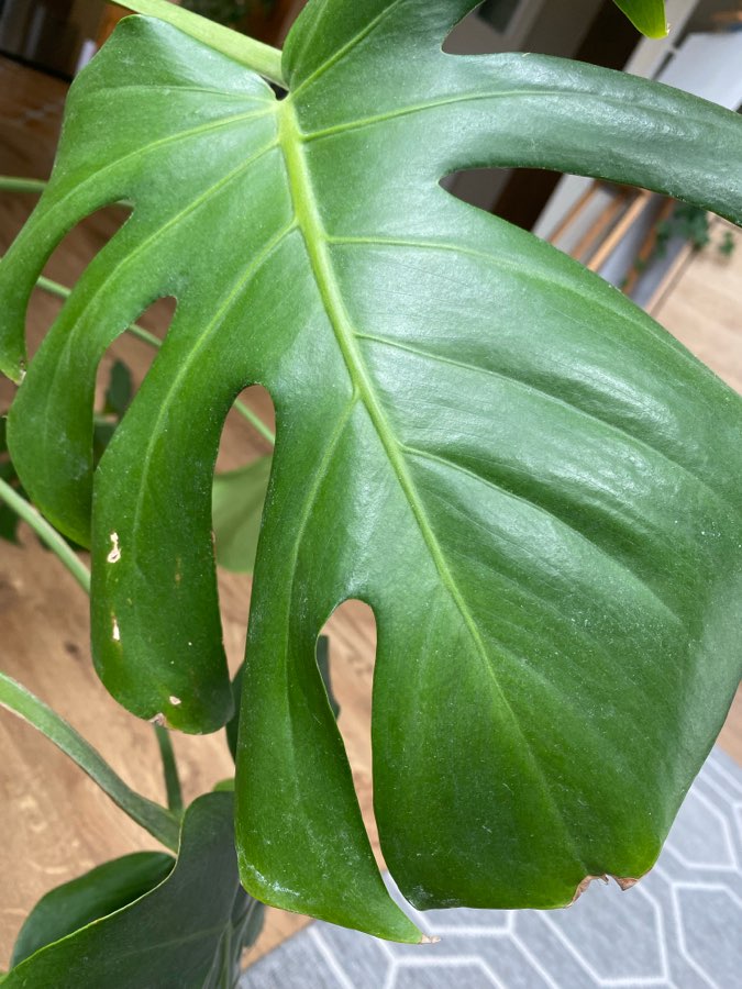 undefined 2