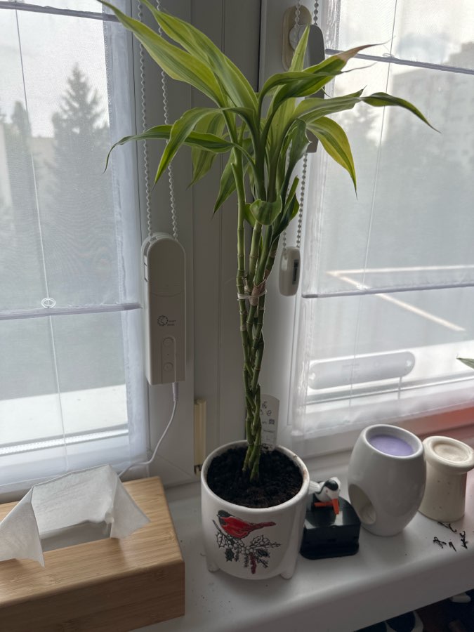 undefined 2