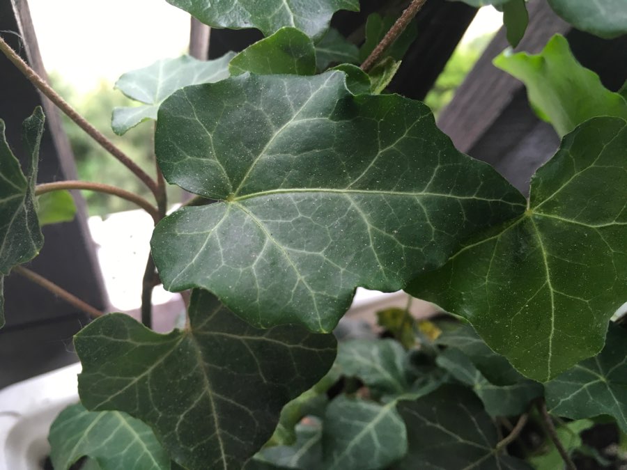 undefined 2