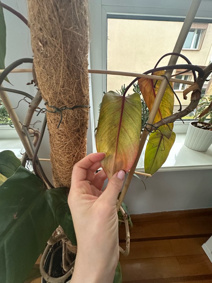 undefined 2