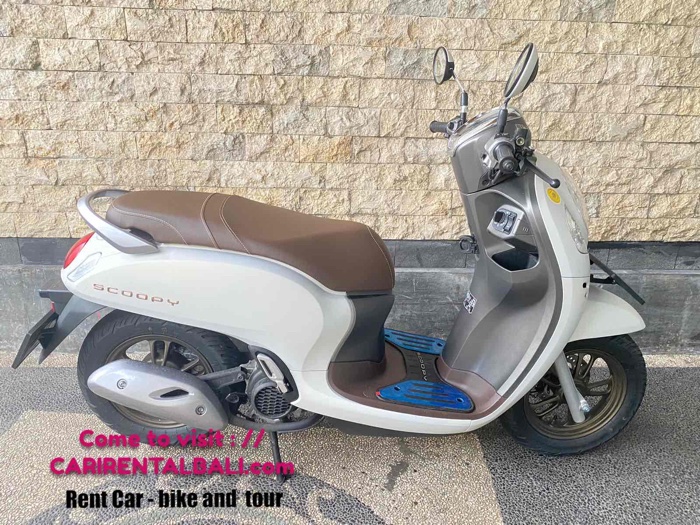 Honda Scoopy