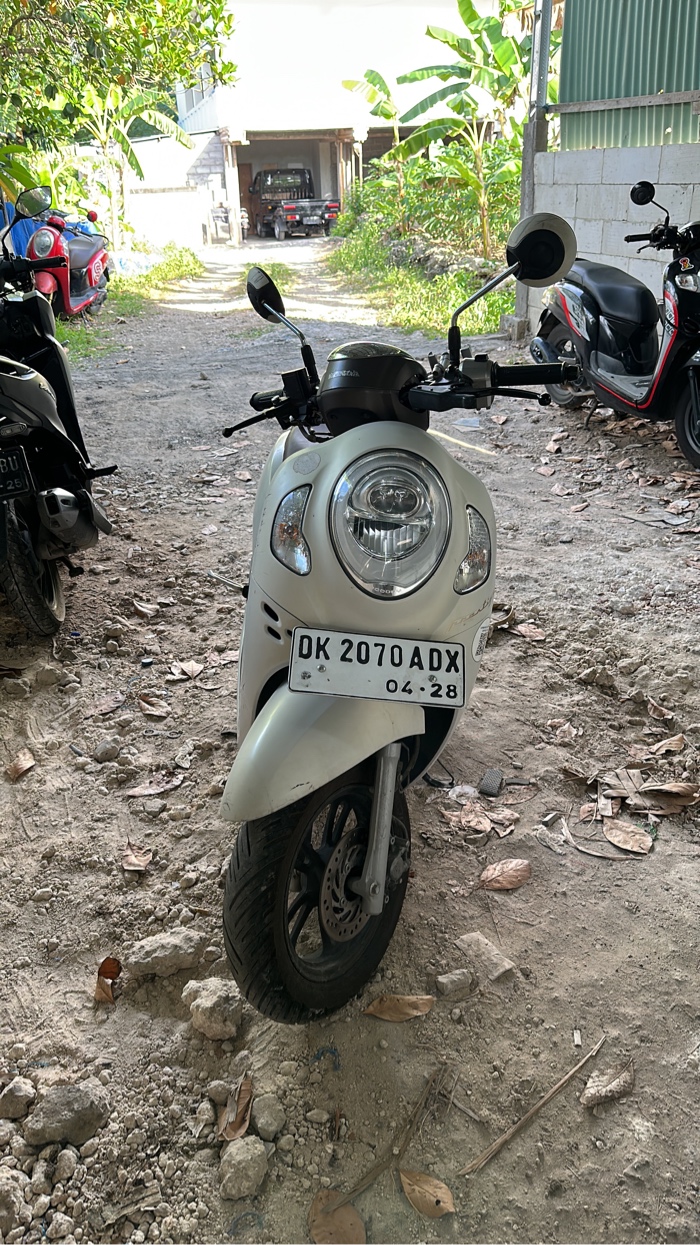 Honda Scoopy