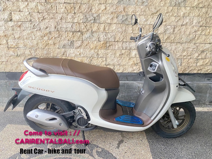 Honda Scoopy