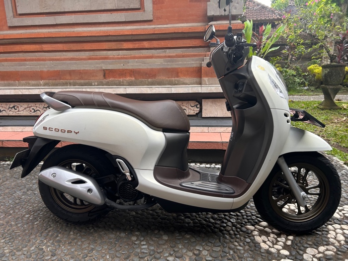 Honda Scoopy