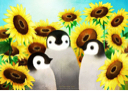 Sunflower Penguin