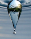 Waterfly