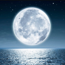 Luna Moon✨🌙