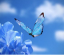 𝙻𝚞𝚗𝚊 🦋